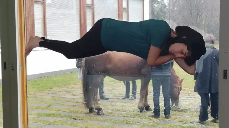 zNap – A Nap Happening