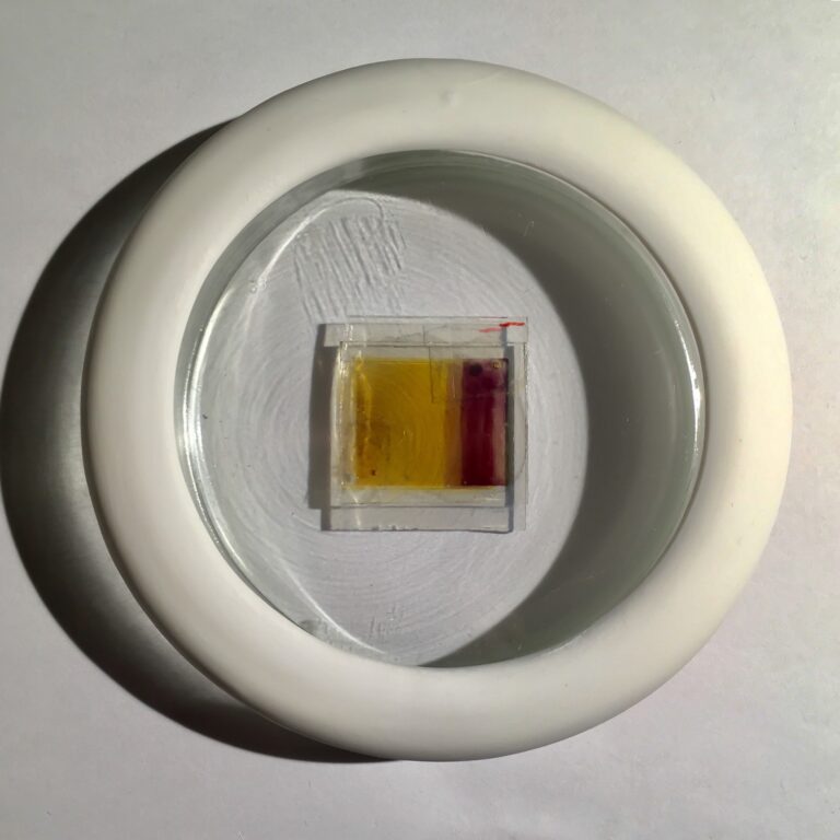 Gift to the Belgian Prime Minister