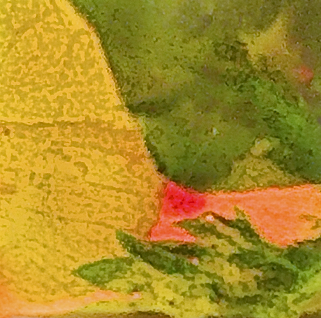Detail of plant leaf in between solar glass pieces