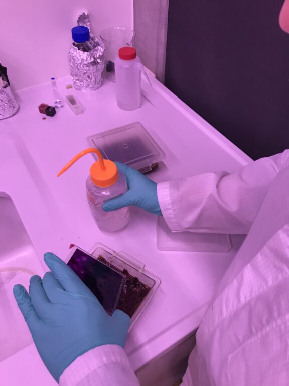 Rinsing dye from solar cells